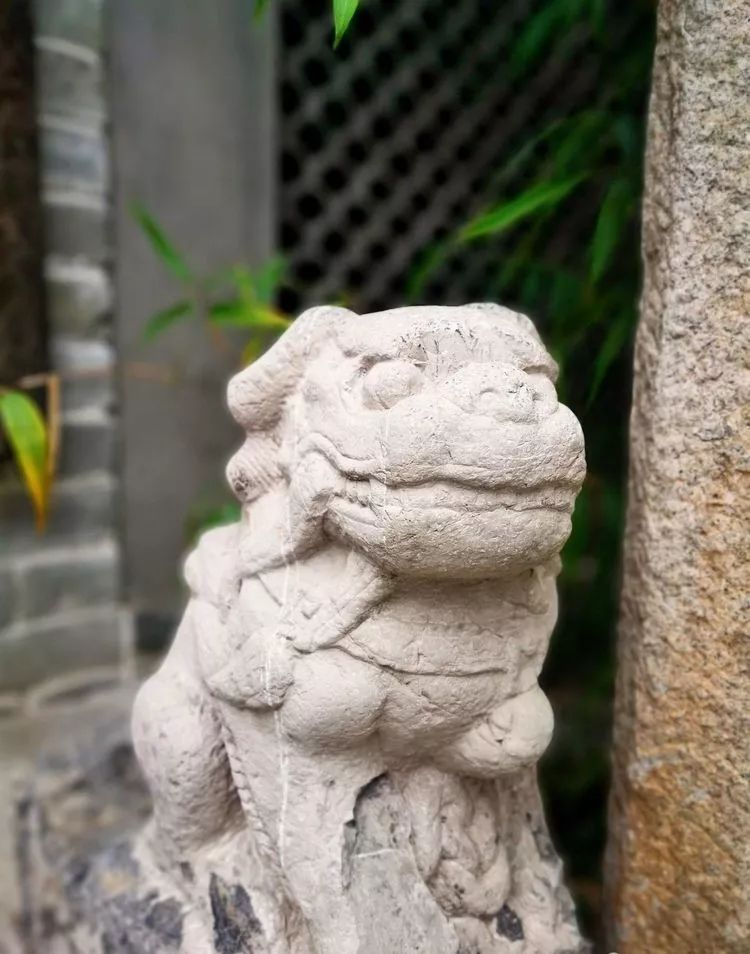 漫随天外云卷云舒原文,漫随天外云卷舒小说