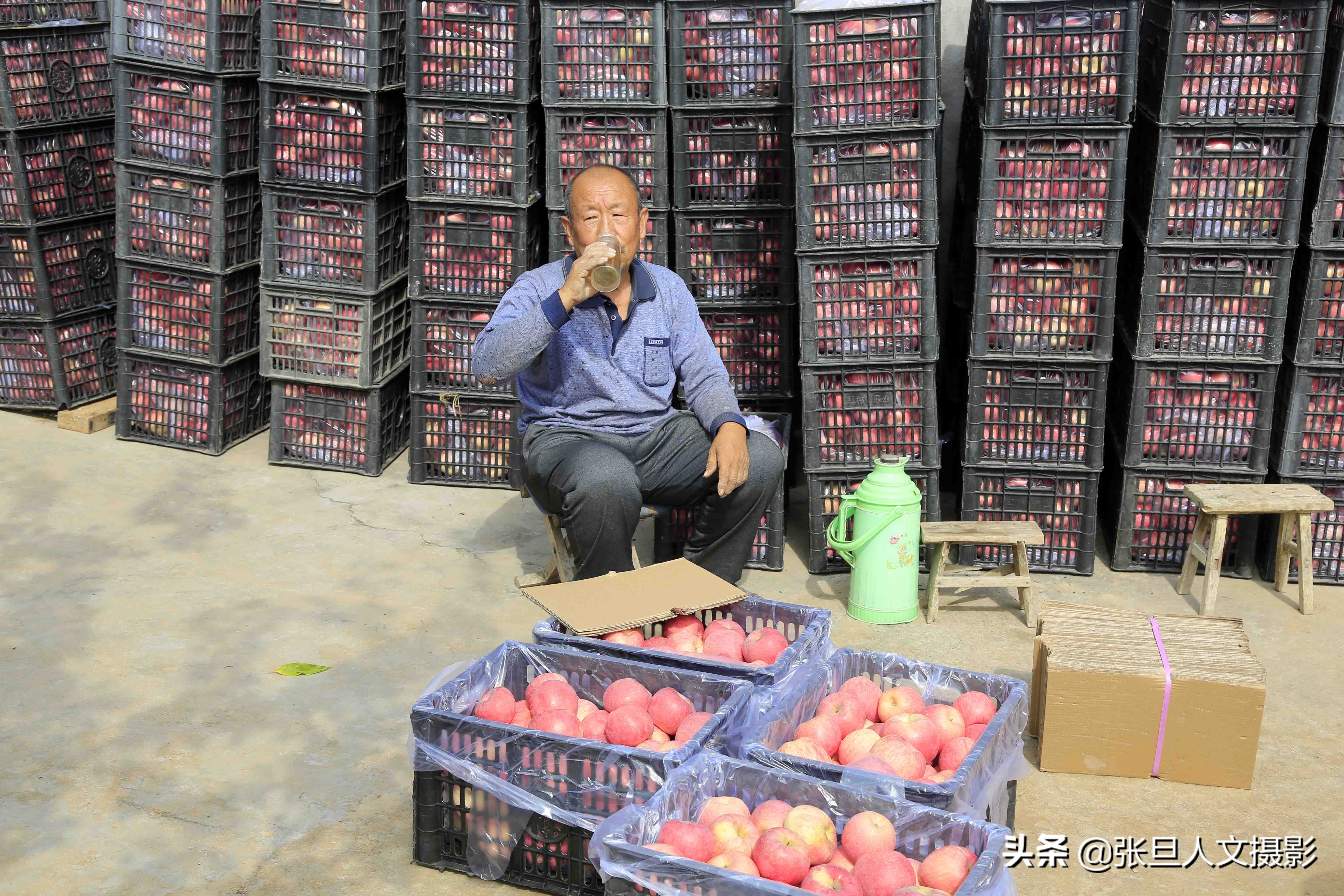70岁老农民种植三亩果树,山西农村种植苹果致富典型