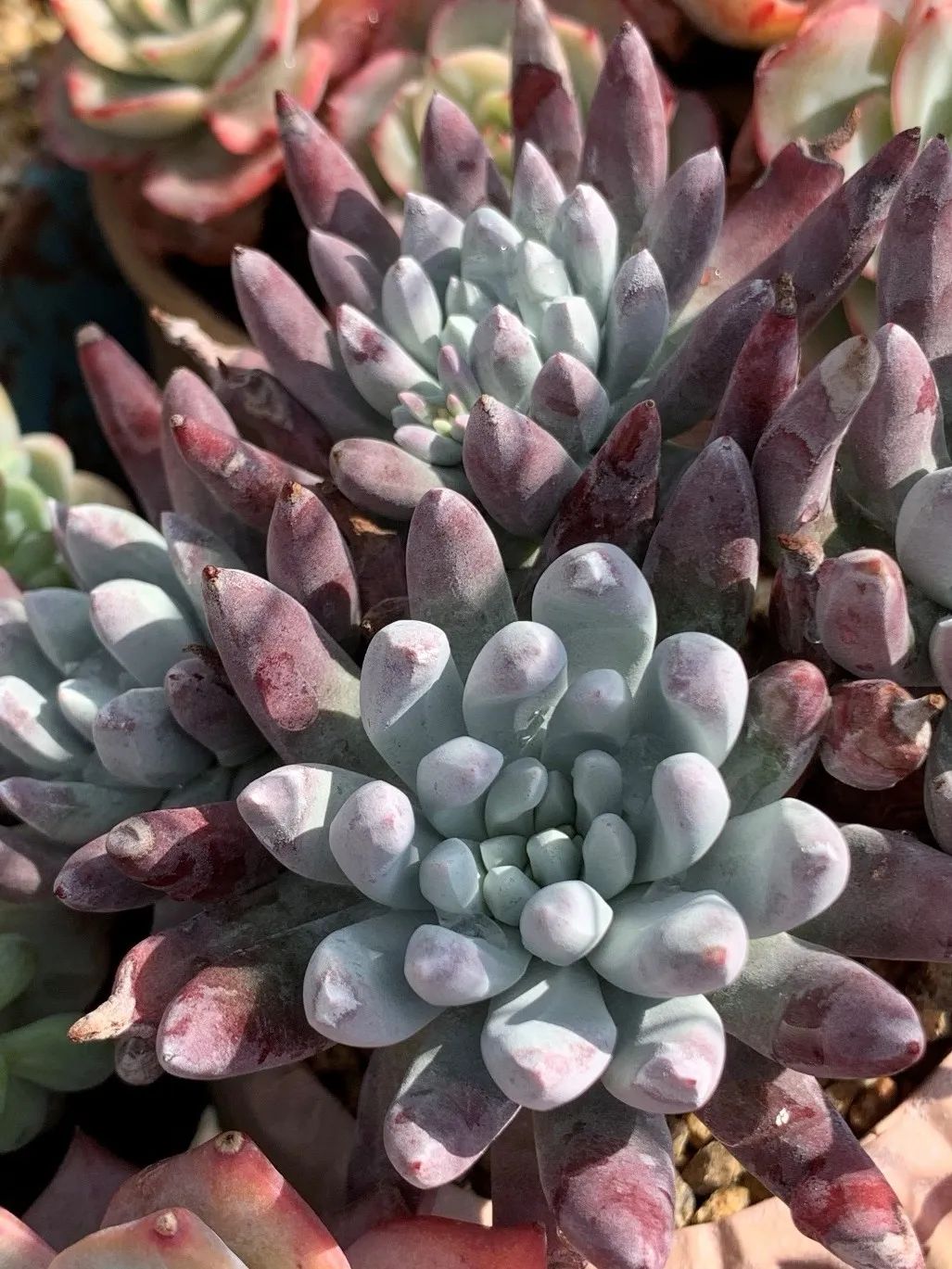 禁足的日子收获颇多,禁足