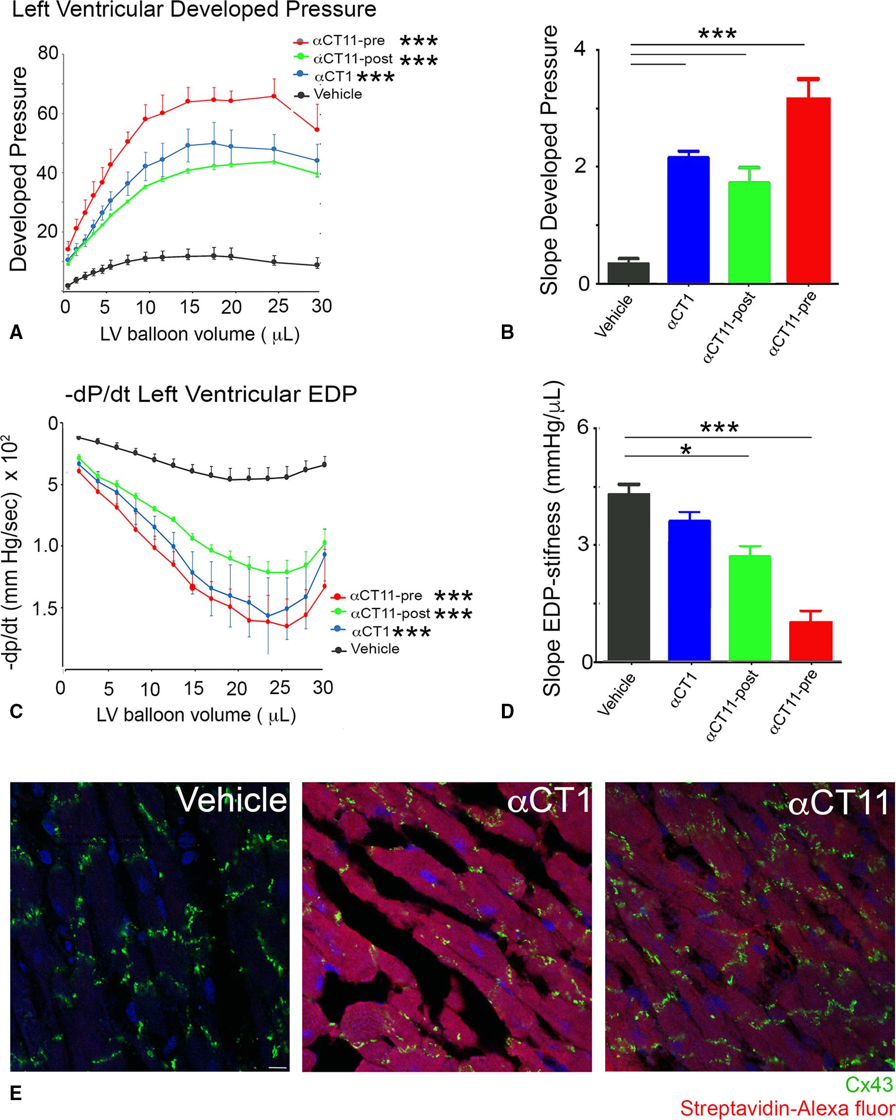 JAHA重大发现：一种新化合物可帮助提高心脏病发作的恢复