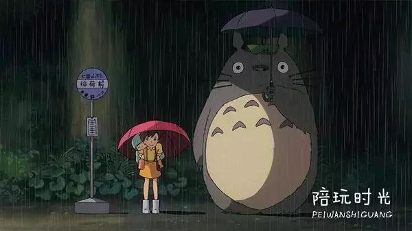 龙猫怎么选好看的,龙猫单纯好看吗