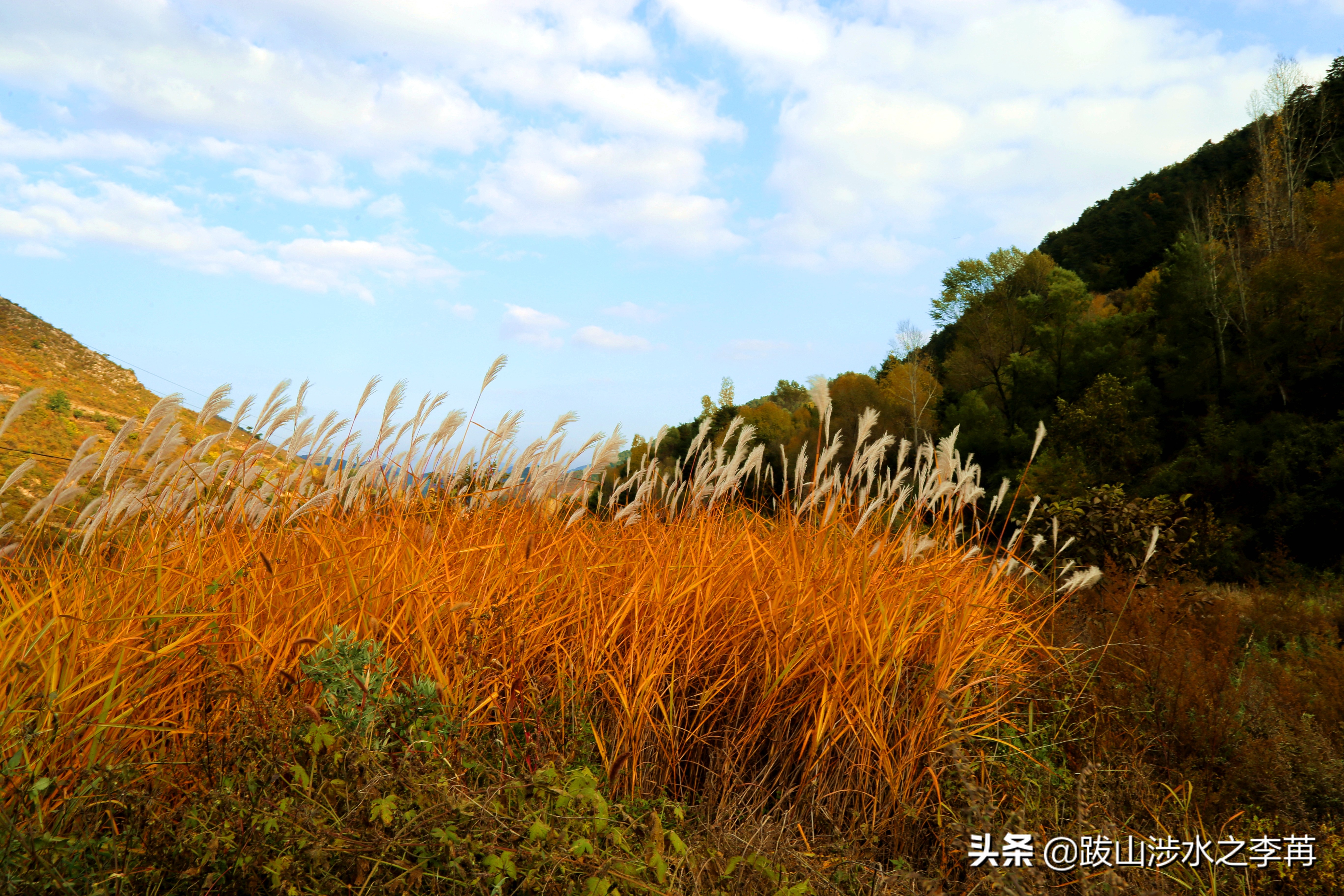 深藏在太行山中的古村落竹林沟,深山沟里的绝世古村
