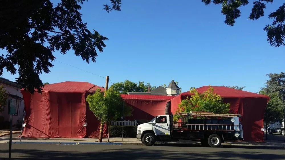 家里有白蚁最简单处理方法,白蚁处理方法家里发现白蚁怎么治