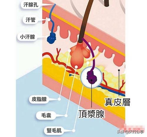 汗脚脚臭异味大一招搞定,汗脚臭味太重怎么彻底消除
