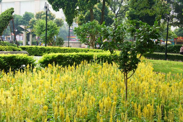 南宁朝阳广场名字的由来,以前的南宁朝阳广场照片