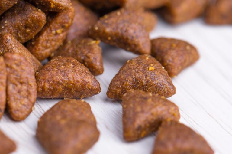 缅因猫吃什么猫粮比较好吃,缅因猫一定要吃益生菌吗