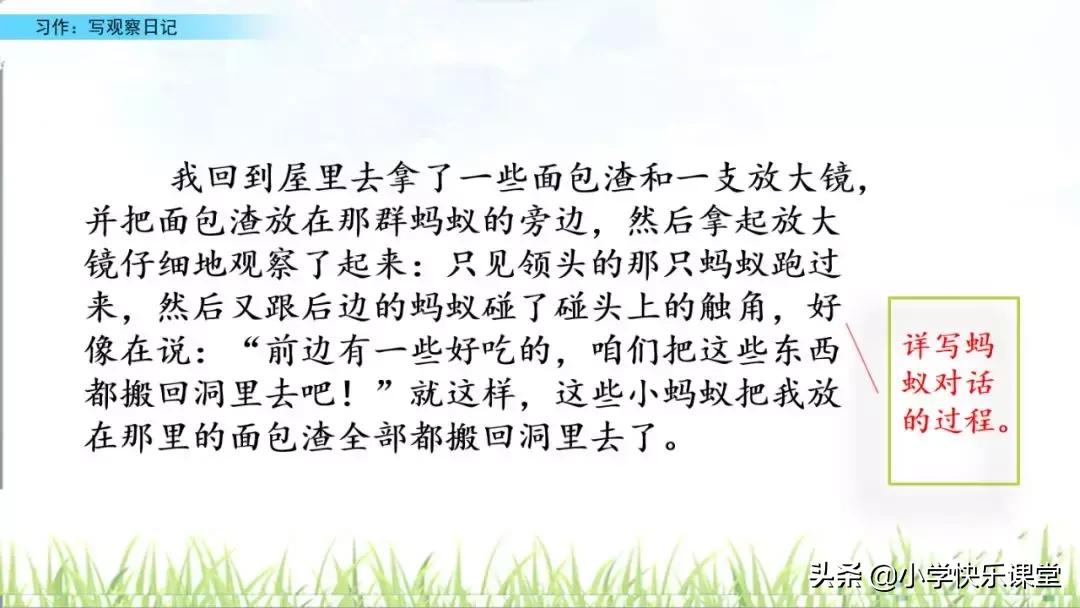 四年级语文第三单元观察日记作文,四年级观察日记400字优秀作文植物