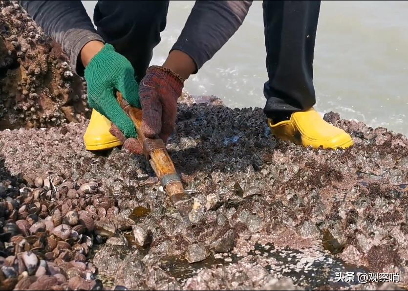 美国海军清理藤壶,美国的航母怎么处理藤壶