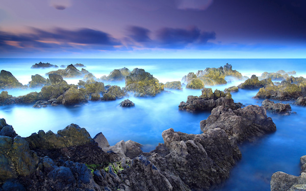 一份甜酒终极指南收藏了喝个遍,一份甜酒