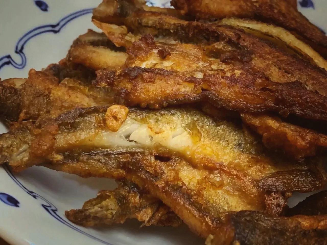 辽东半岛小渔村,辽南小渔村