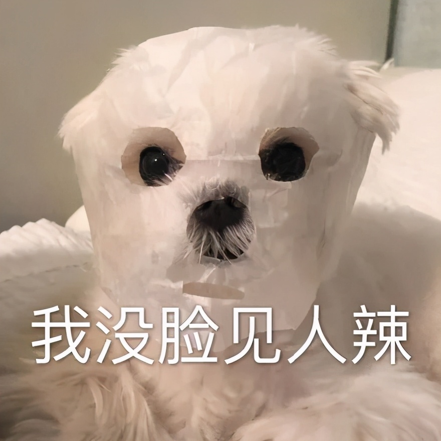 陈鹤皋疯狗拳自由搏击,陈鹤皋疯狗拳宗师