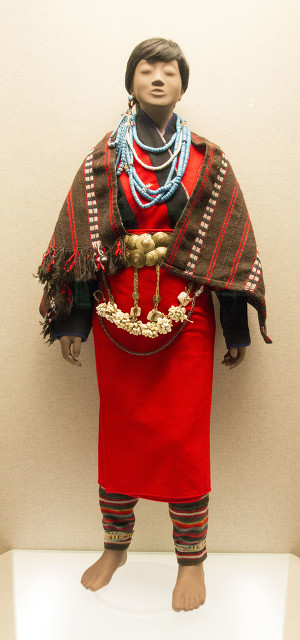 华夏儿女铭记的历史,华夏儿女的故事