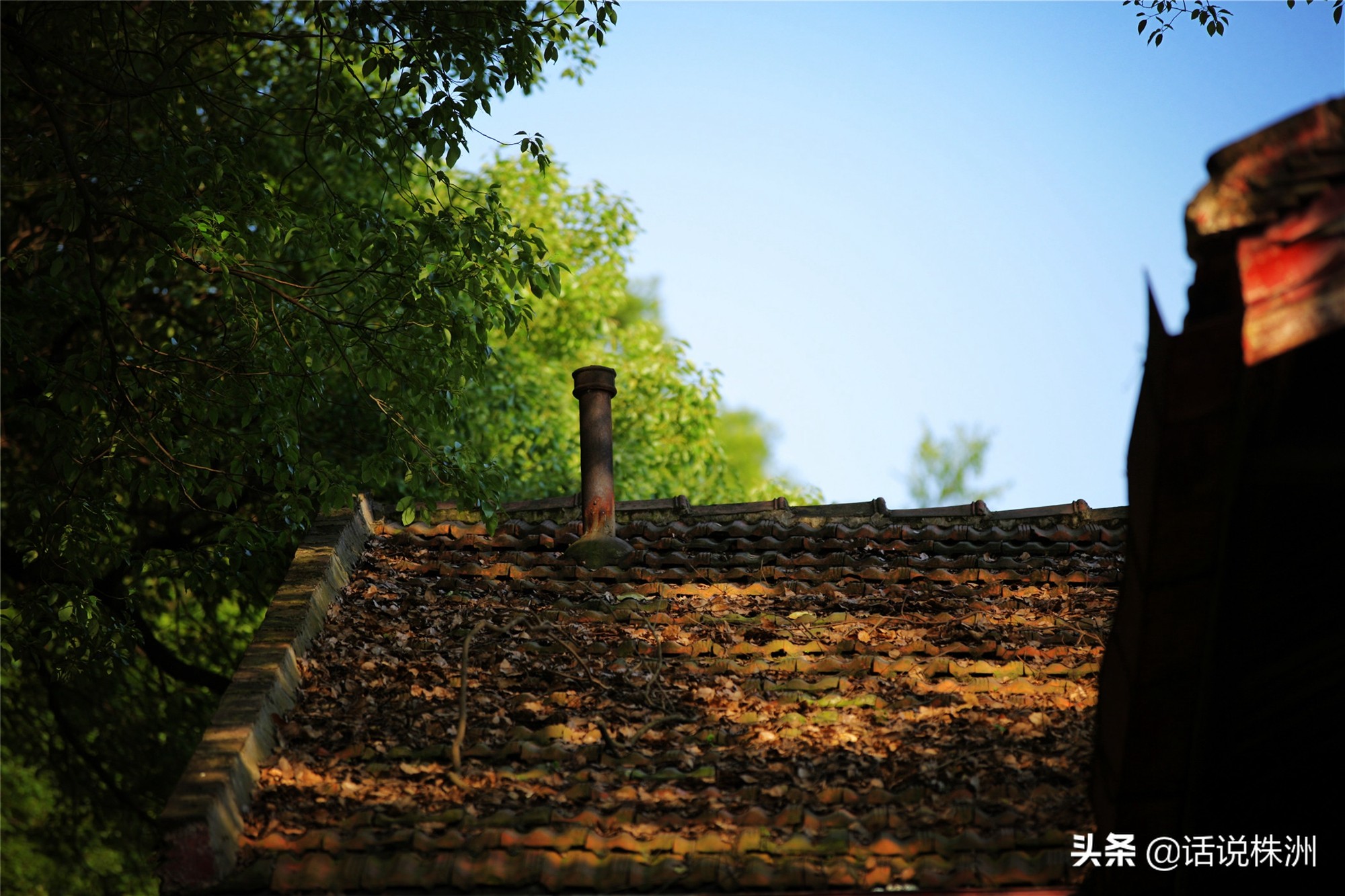 记忆中的株洲331(四):课堂搬进了防空洞,里面还开过溜冰场