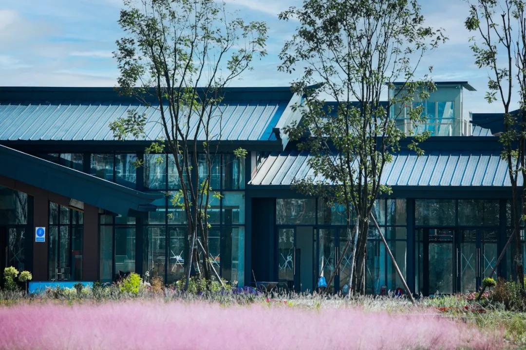 踏青打卡好去处双流空港公园,成都双流的三大新的生态公园