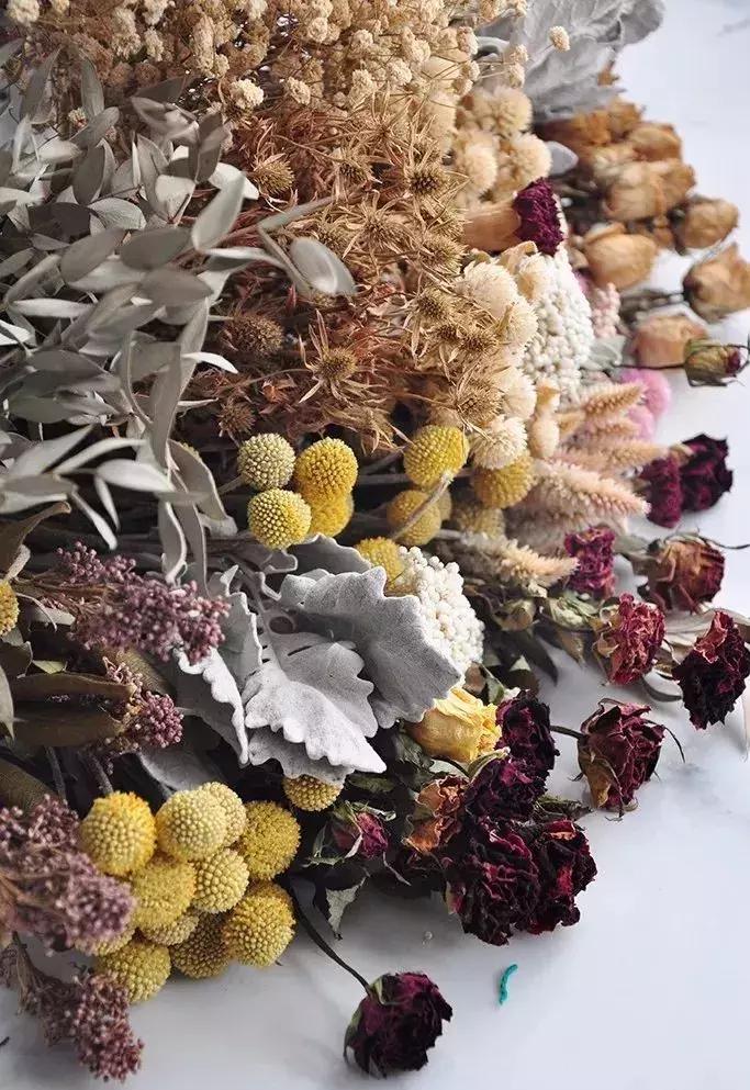 8种能做干花的鲜花，男朋友送的花就这么做