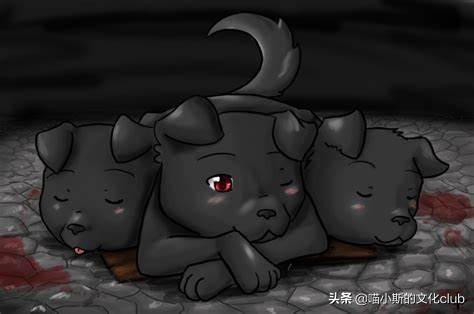 哈利波特三头犬怎么不击败三头犬,哈利波特里的三头犬长什么样