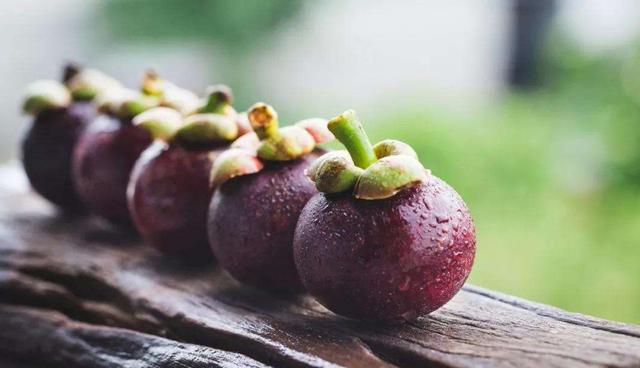 怎么挑选多肉山竹果实,山竹怎么选肉多无籽的