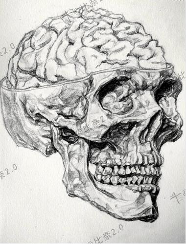 简单易画的人体解剖图,灵魂画手美术生