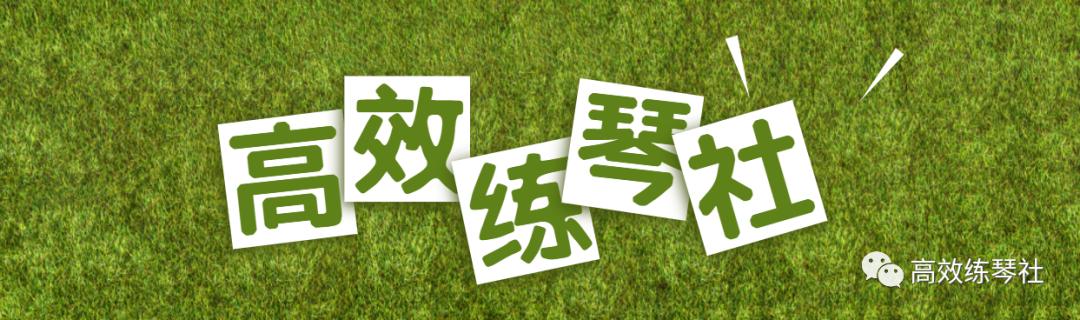 乐理0基础学习免费,乐理零基础学吉他