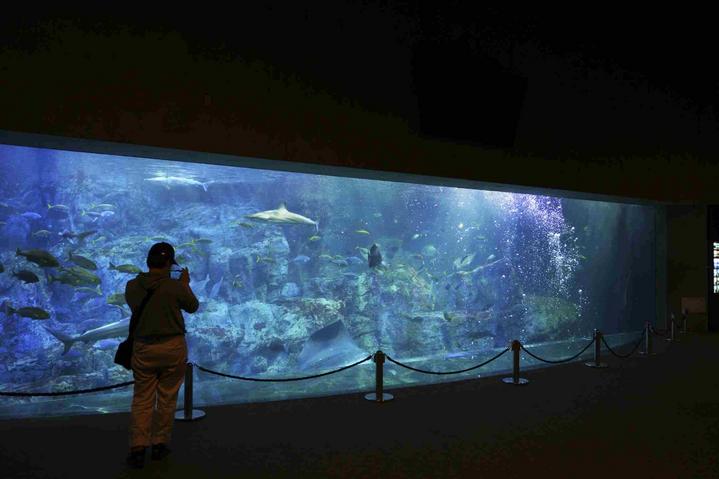 日本九州七星列车,日本九州列车