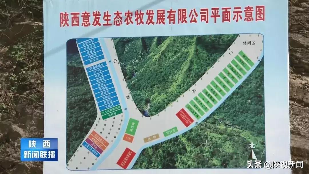 商洛山阳县这帮人对牛粪做了啥？竟比纯养牛多挣了10倍！