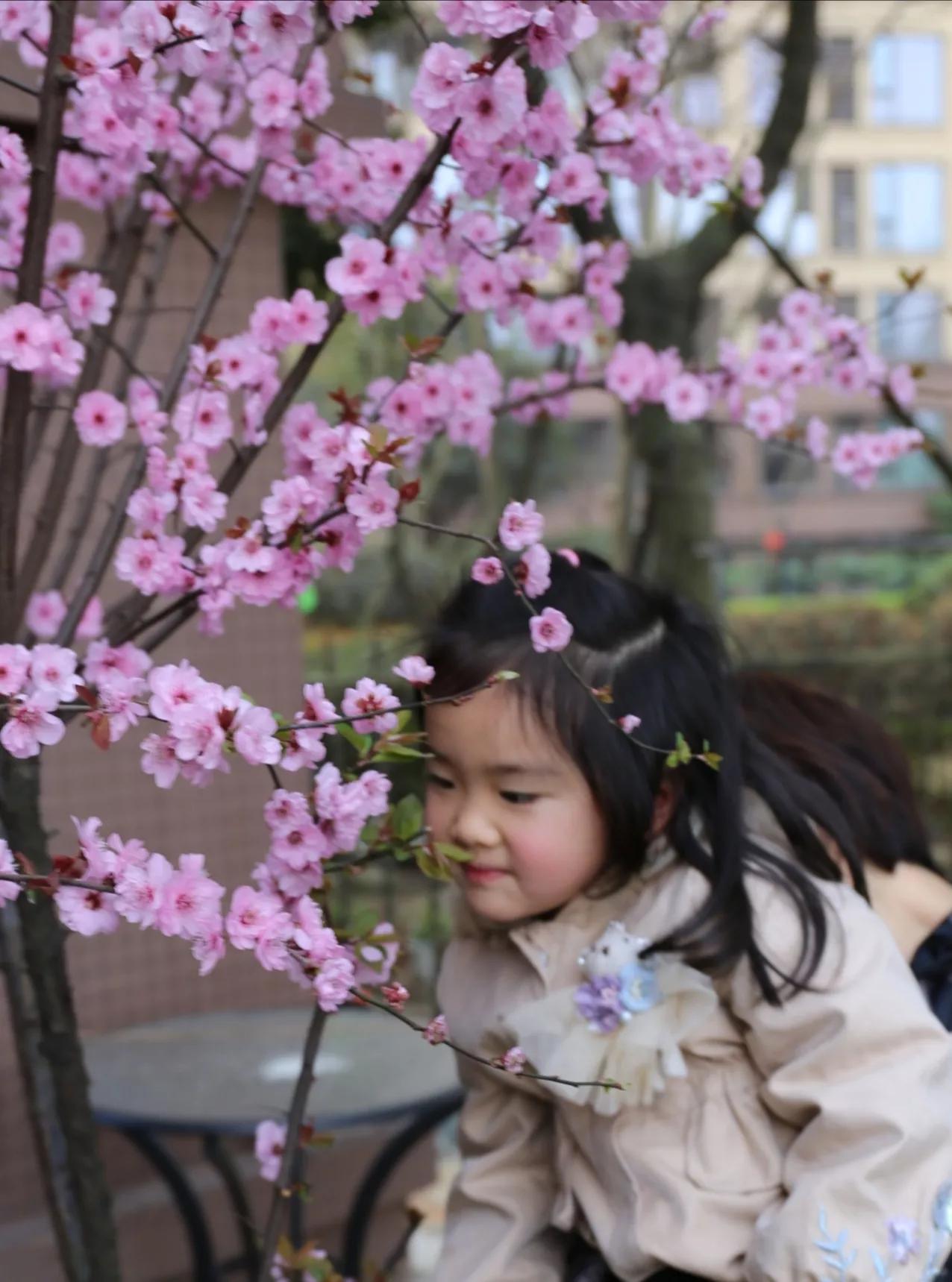 春天的花园作文,春天的花园作文400字四年级