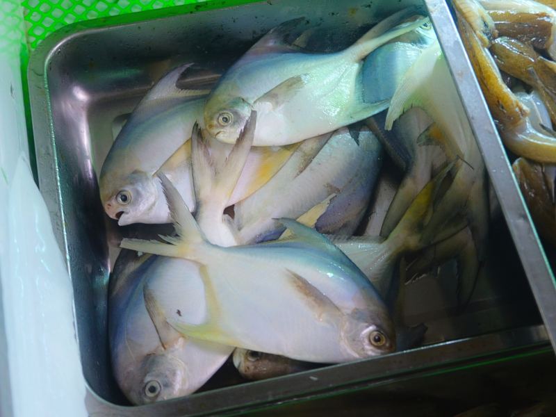 湛江遂溪角头沙旅游攻略,湛江江洪镇旅游攻略