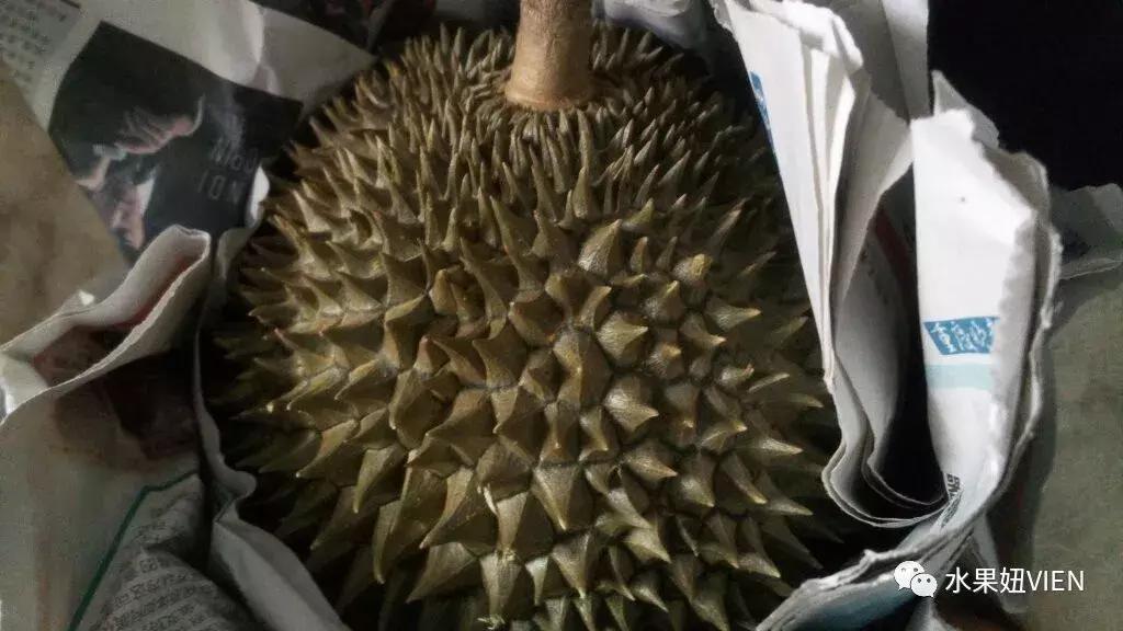 榴莲工业催熟,榴莲家里催熟
