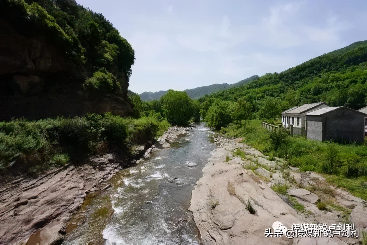 秦岭细鳞鲑科普,秦岭细鳞鲑百科介绍