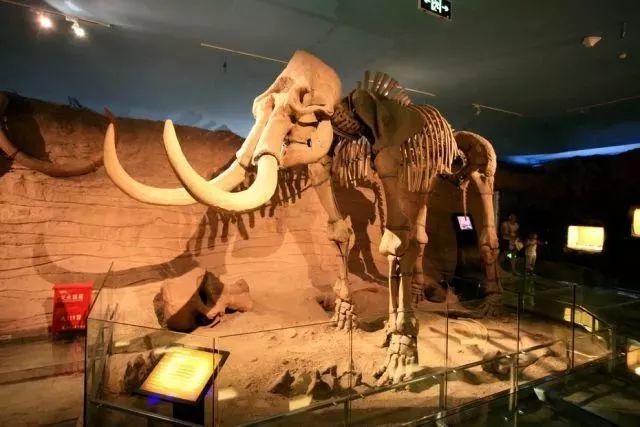 最全的合肥旅行攻略人少景美,夏日旅行计划合肥旅游攻略