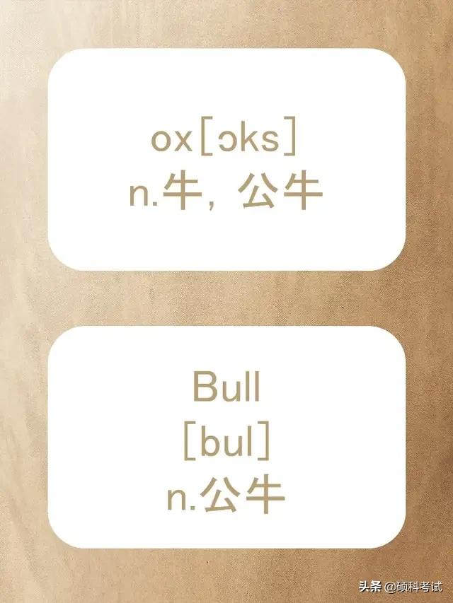 动物的英文拼写及音标,关于动物的单词及音标