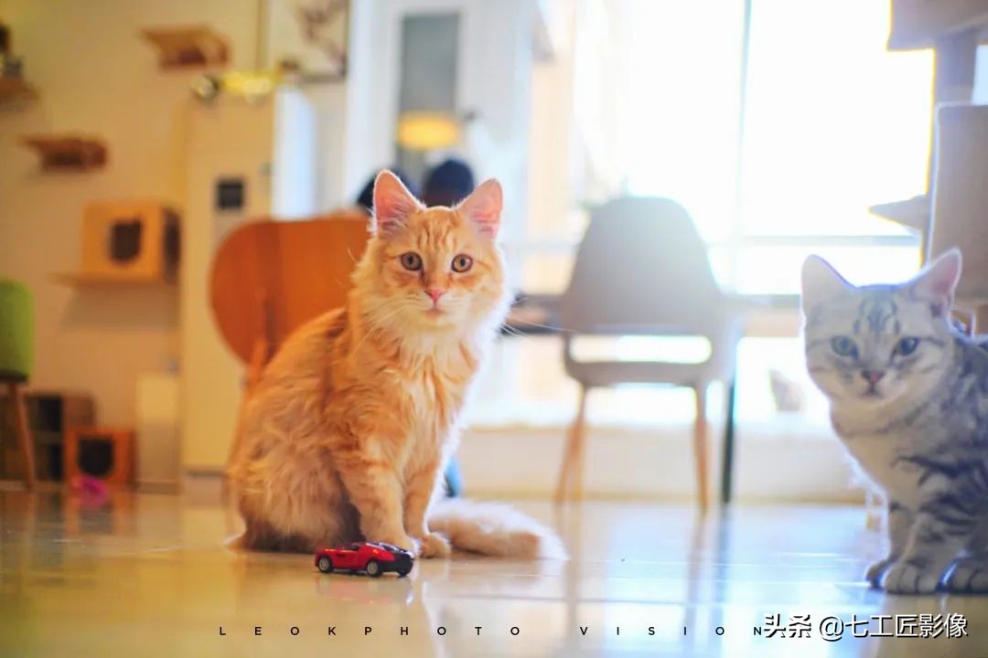 七工匠50mm和35mm哪个合适,趣味体验