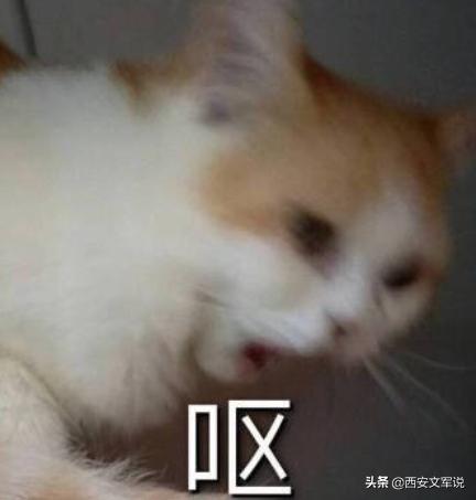 罚员工吃蚯蚓事件续,被罚生吃蚯蚓后续