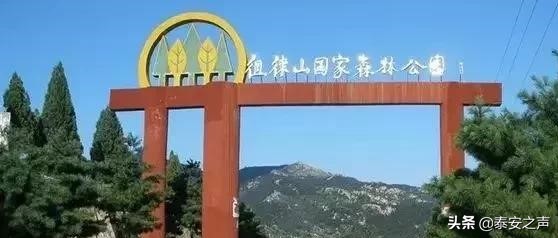 *安泰**高铁汽车站至徂徕山国家森林公园通公交车了！236路直达！