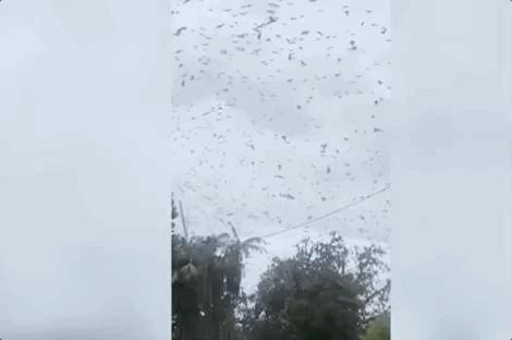 探索地球的奥秘内容,探索宇宙奥秘地球是什么样的