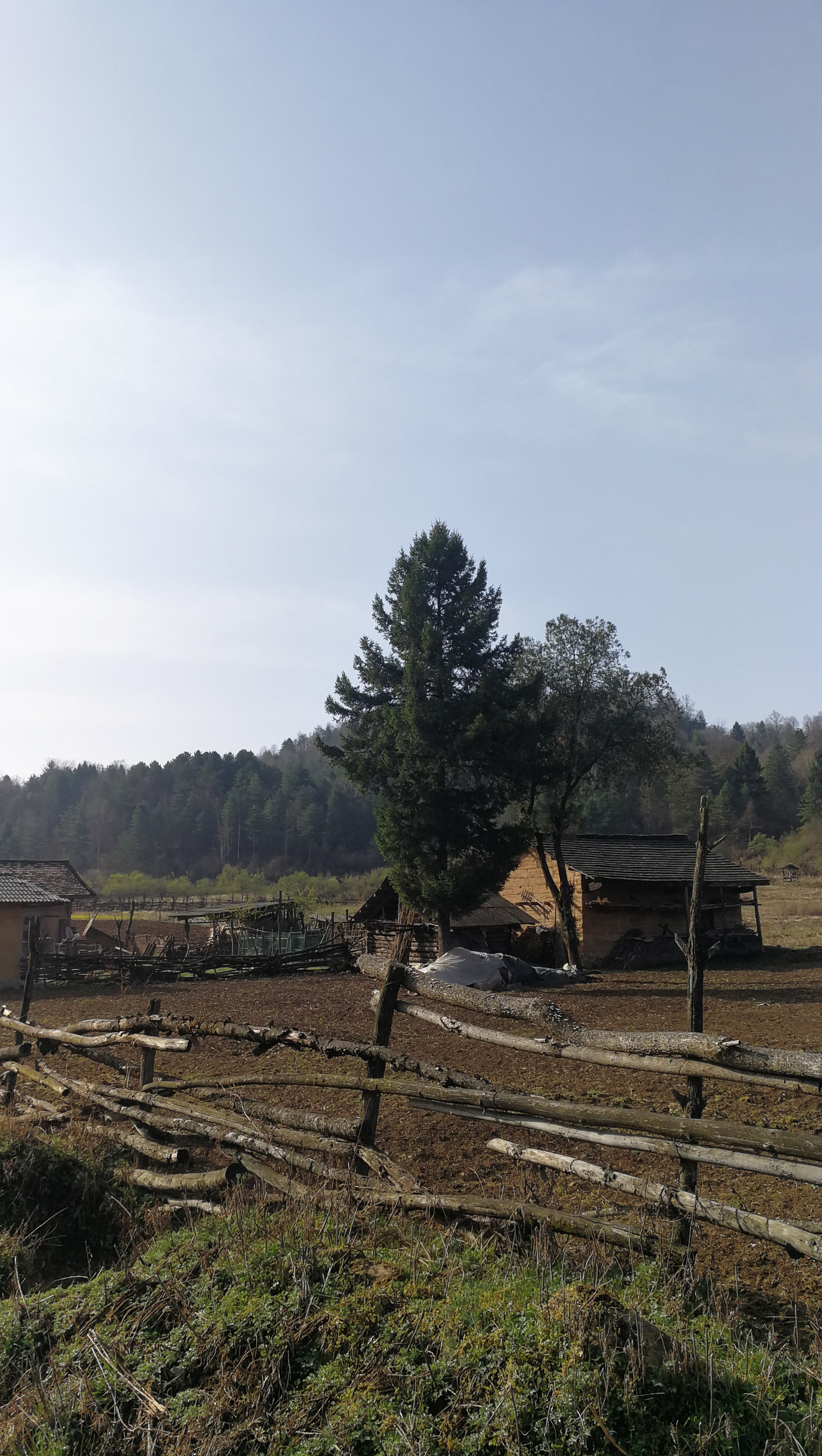 西安周至踏青赏花的路线攻略,周至老县城旅游攻略