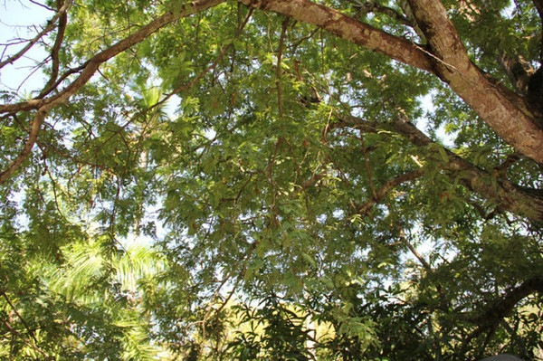 冬季三亚旅游攻略 (七月份去三亚旅行攻略路线推荐)