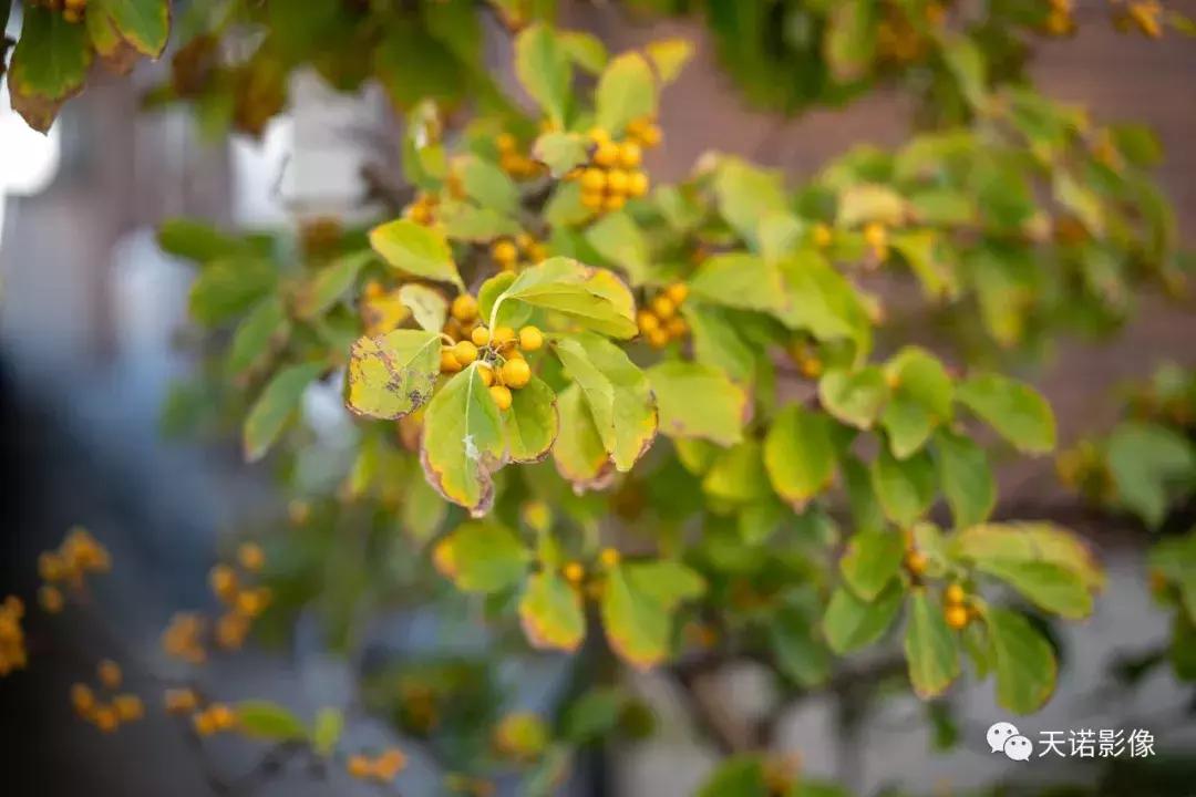 锐不可当字体图片,锐不可当的镜头