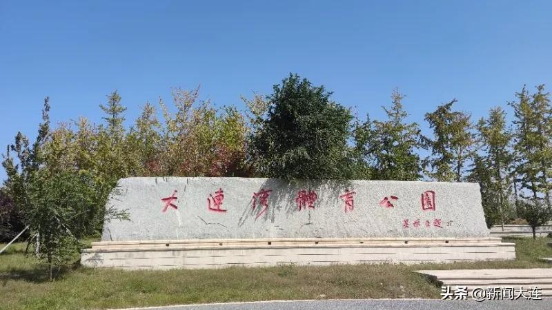 赏秋不必远行！大连这些地方美得正当时