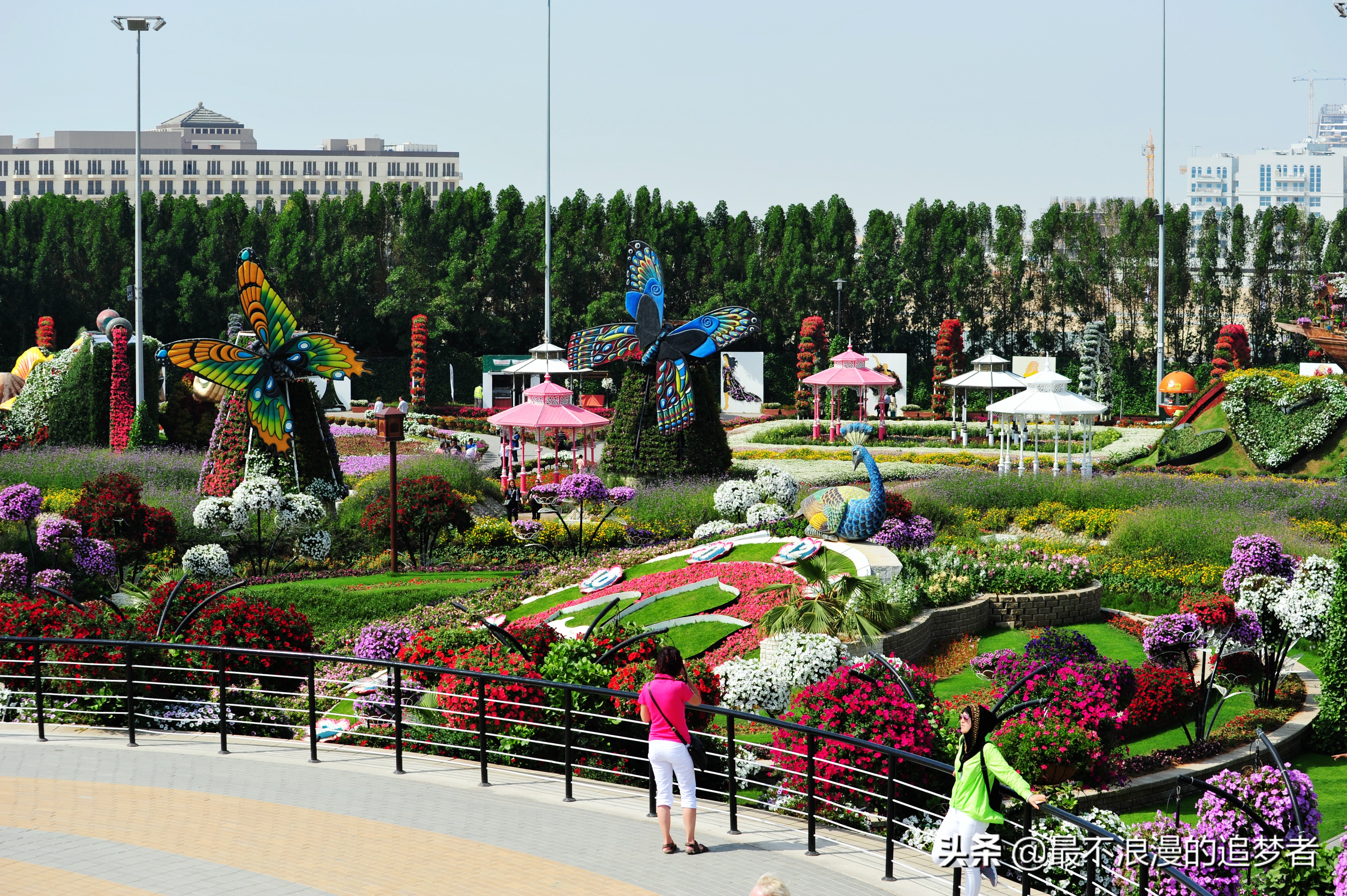 阿联酋迪拜的旅游感想,阿联酋迪拜旅游攻略