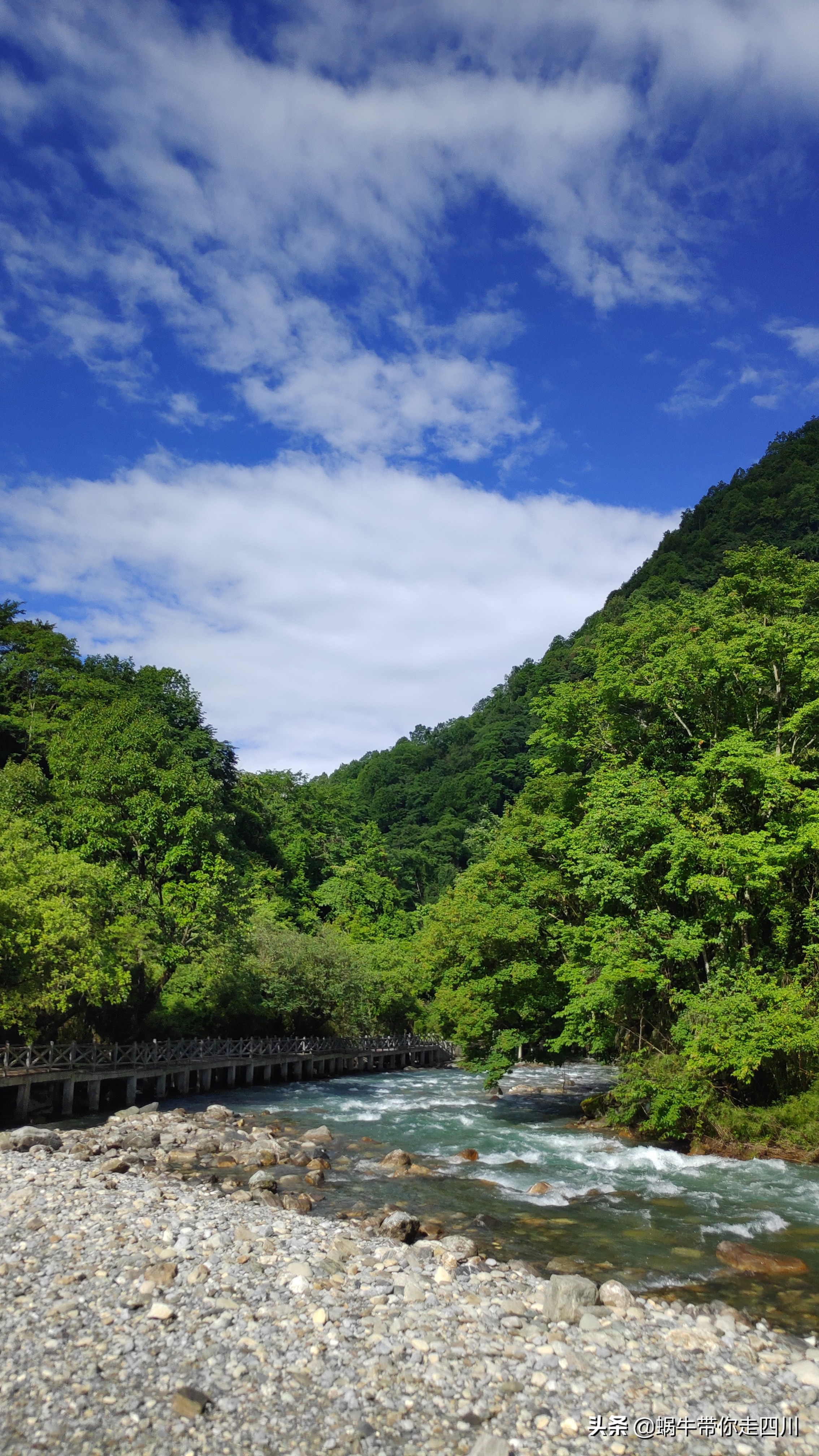 带小朋友出去看小动物,带小孩去海洋动物园