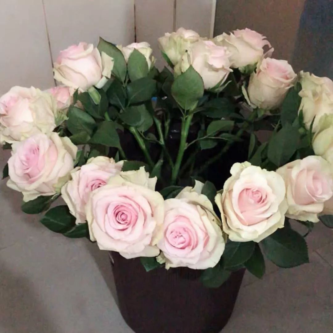 鲜花醒花前后怎么养好看,怎样醒花花期最长