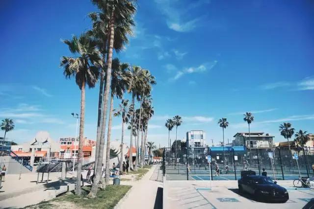 洛杉矶逛街 (洛杉矶购物攻略视频大全)