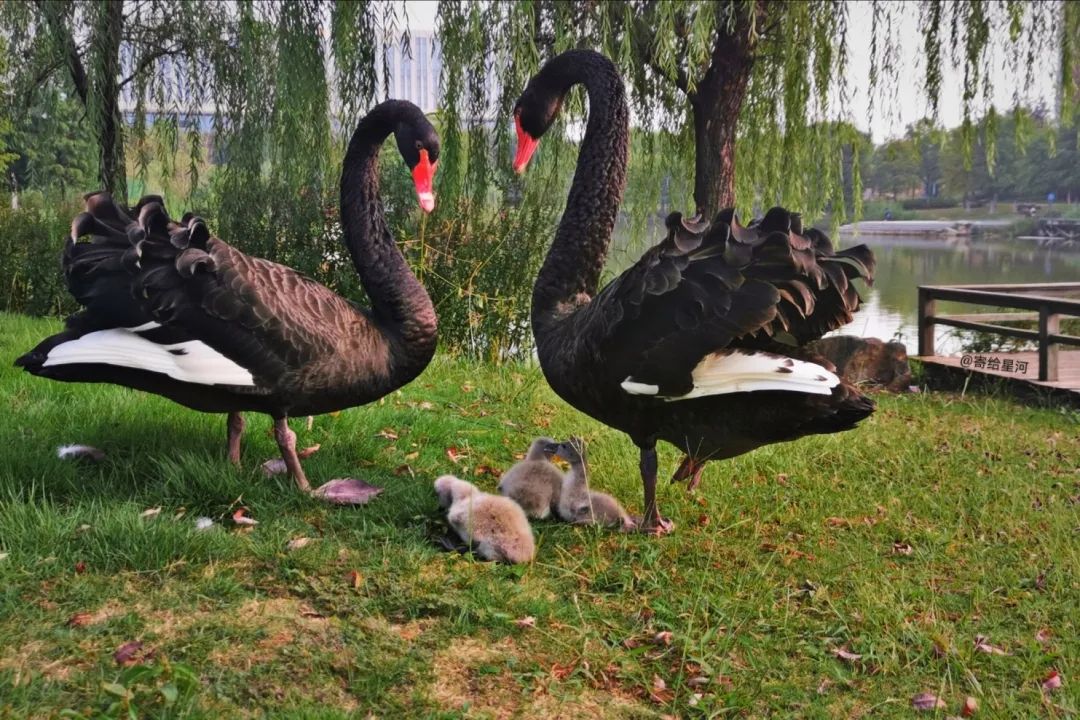 对口单招考南京交通职业技术学院,对口单招南京交通职业技术学院