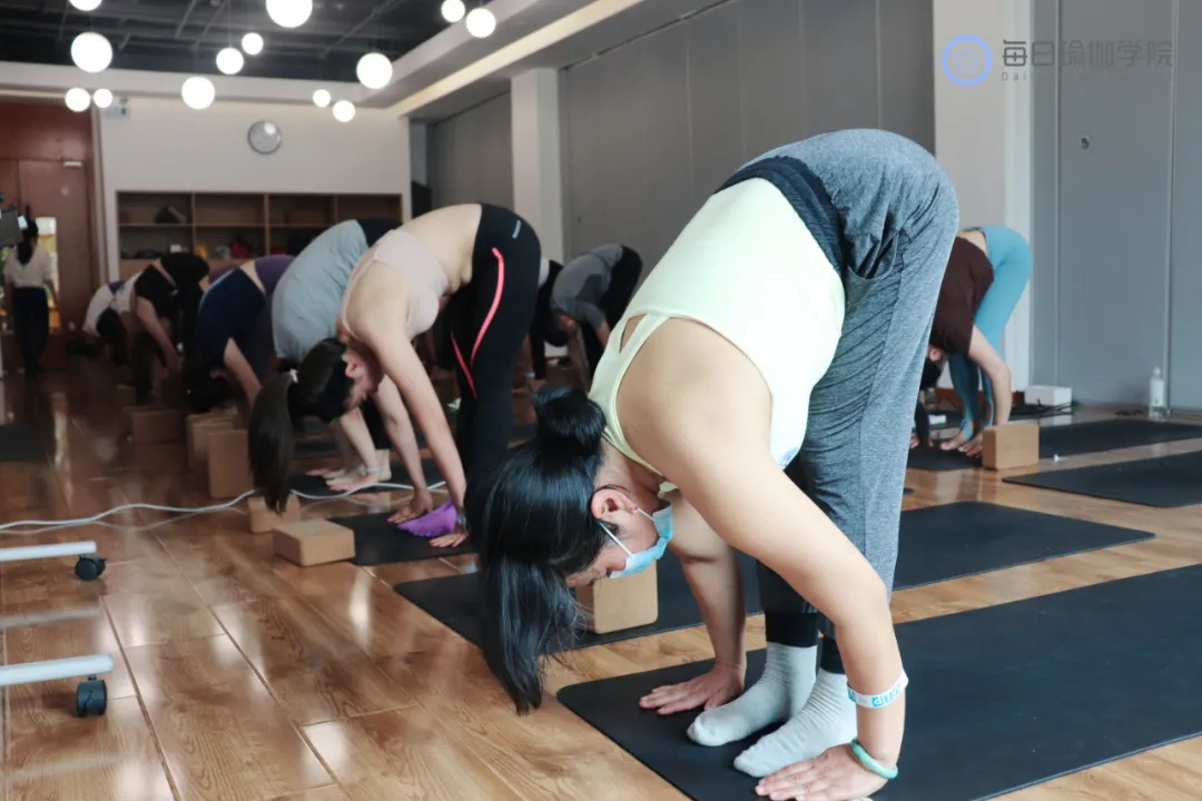 七个最好的瑜伽体式你练对了吗,初学者必练四个瑜伽体式