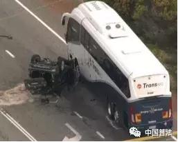 2019年中国水怪之谜,长江水怪之谜视频