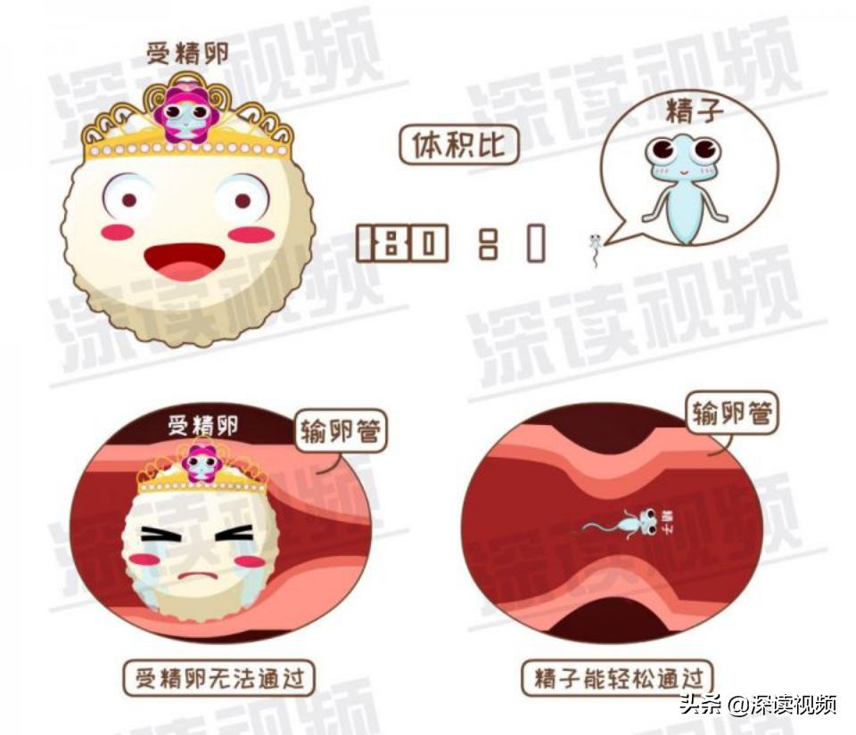 宫外孕一直流血怎么回事,宫外孕是怎么回事呢