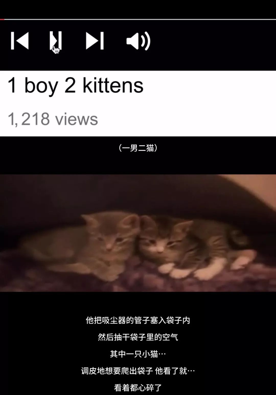 猫咪杀人案真实案例,猫咪被谋杀肢解抛尸案