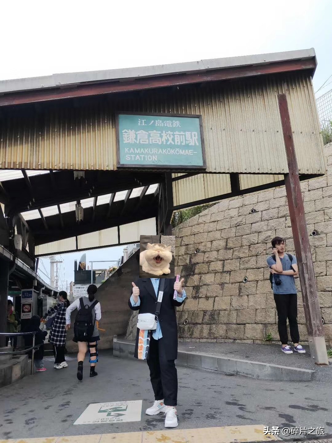 上海游轮去日本攻略,上海去日本的邮轮旅游攻略