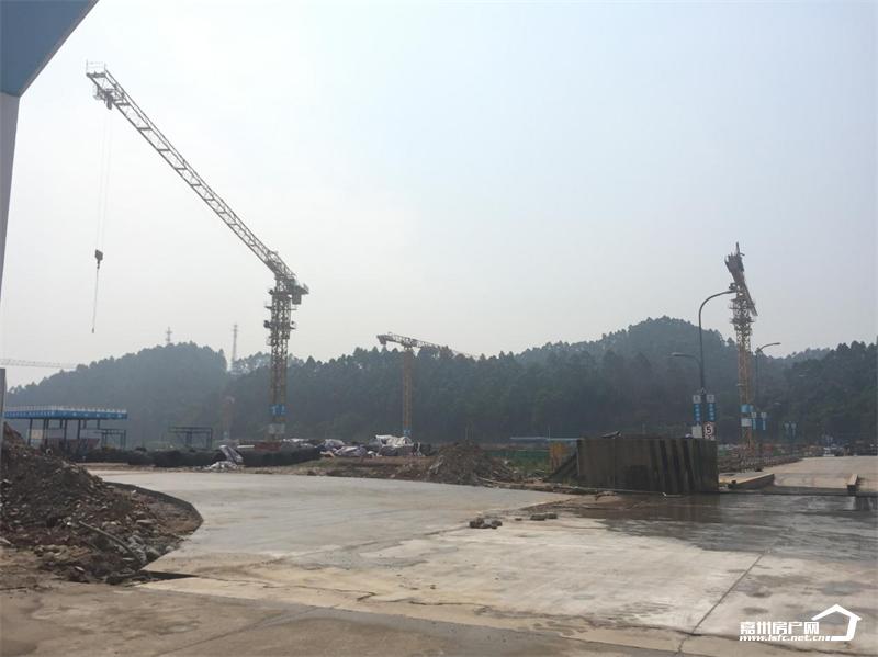 乐山高新区住宅规划,乐山高新区周边配套最新进展